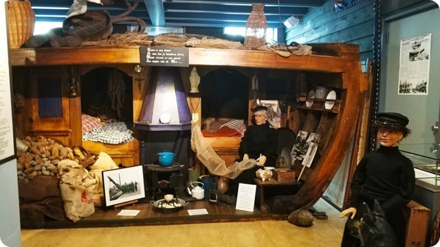 253727757_563282984737514_1075958896761255599_n