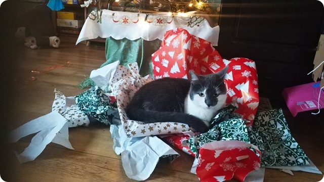 269782099_4829106920487414_1666358862672736887_n