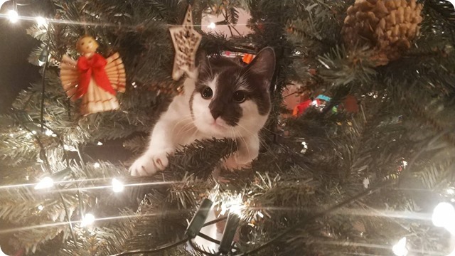 269806038_1560340964318825_5718192504648917526_n