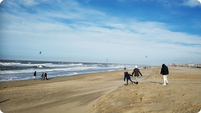 248428898_398326432063082_1920684842040714526_n