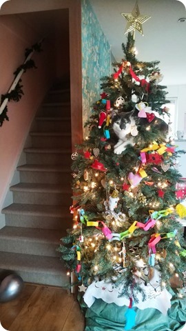 270793815_626629005336142_3143150087697325400_n (1)