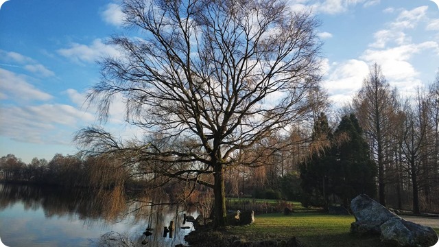 271526522_1006075060251791_44801857959495711_n