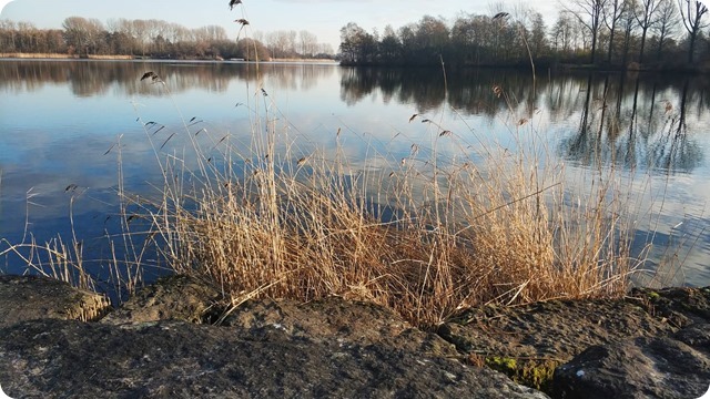 271528044_255282263262897_4656468717218849896_n