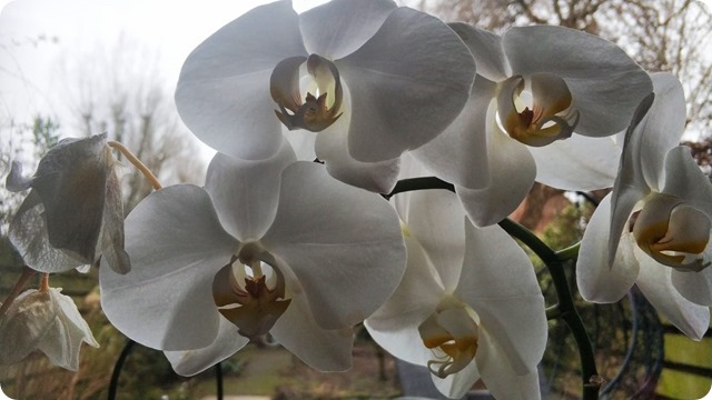 WhatsApp Image 2022-02-16 at 18.32.44 (1)