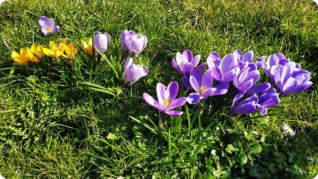 WhatsApp Image 2022-03-10 at 17.29.59