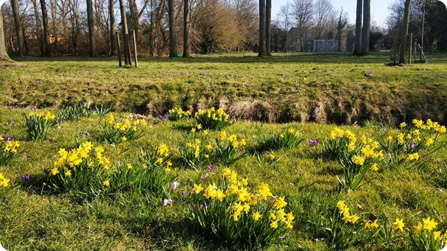 WhatsApp Image 2022-03-10 at 17.30.19