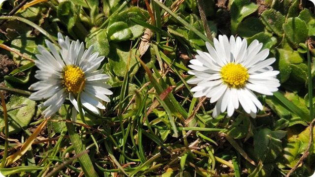 WhatsApp Image 2022-03-21 at 17.00.55