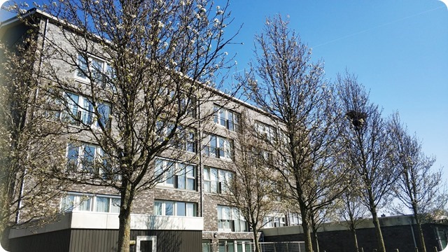 WhatsApp Image 2022-03-21 at 17.03.27