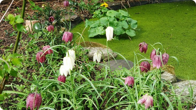 WhatsApp Image 2022-04-16 at 17.25.45