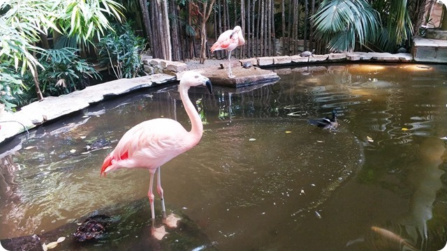 WhatsApp Image 2022-05-12 at 20.06.46 (1)