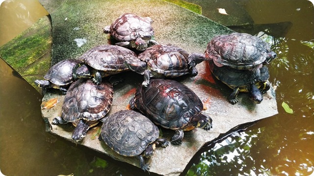 WhatsApp Image 2022-05-12 at 20.06.46