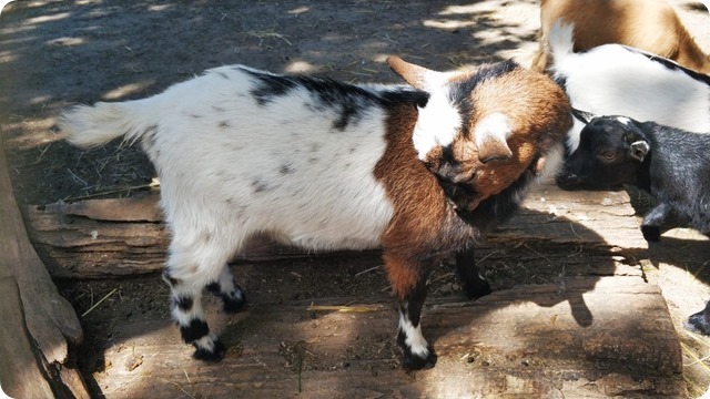 WhatsApp Image 2022-05-12 at 20.08.16