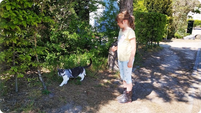 WhatsApp Image 2022-05-12 at 20.11.27