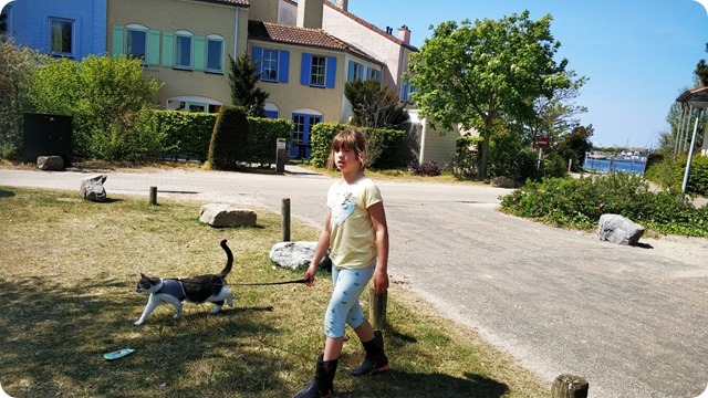 WhatsApp Image 2022-05-12 at 20.11.51