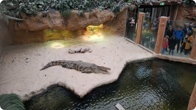 WhatsApp Image 2022-05-17 at 7.13.57 PM