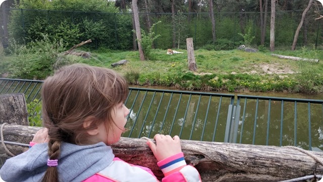 WhatsApp Image 2022-05-17 at 7.14.04 PM