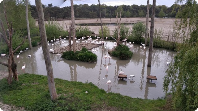 WhatsApp Image 2022-05-17 at 7.14.06 PM