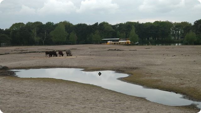 WhatsApp Image 2022-05-17 at 7.14.14 PM