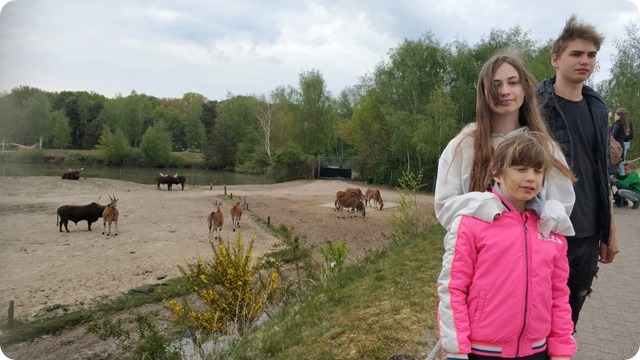 WhatsApp Image 2022-05-17 at 7.14.15 PM