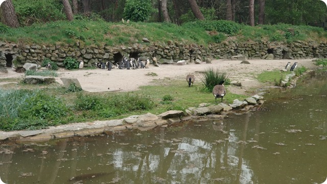 WhatsApp Image 2022-05-17 at 7.15.00 PM (1)