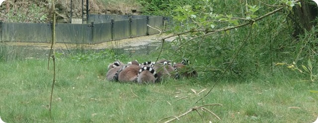 WhatsApp Image 2022-05-17 at 7.15.00 PM