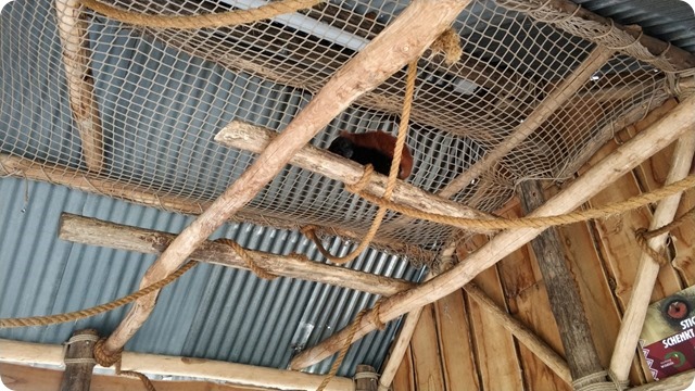 WhatsApp Image 2022-05-17 at 7.15.01 PM (1)