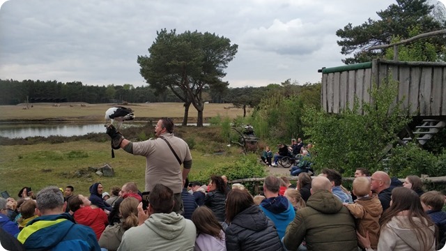 WhatsApp Image 2022-05-17 at 7.15.01 PM (2)