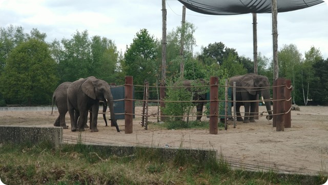 WhatsApp Image 2022-05-17 at 7.15.26 PM