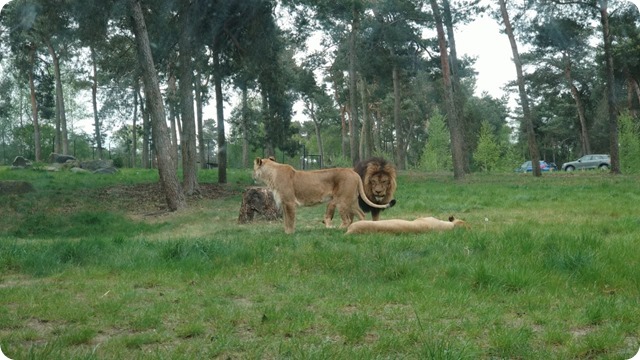 WhatsApp Image 2022-05-17 at 7.17.14 PM