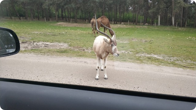 WhatsApp Image 2022-05-17 at 7.17.24 PM (2)