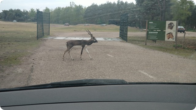 WhatsApp Image 2022-05-17 at 7.17.25 PM (1)