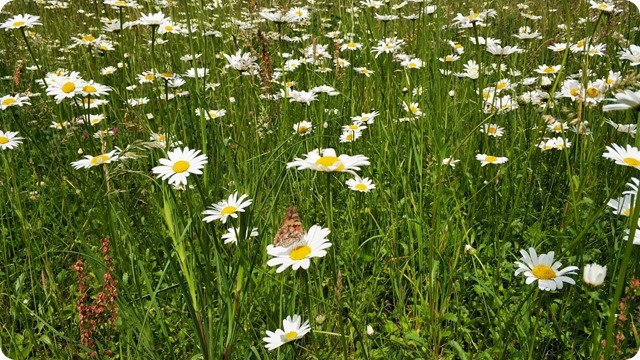 WhatsApp Image 2022-06-16 at 14.00.35