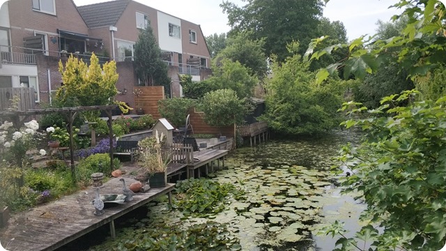 WhatsApp Image 2022-06-16 at 17.54.44