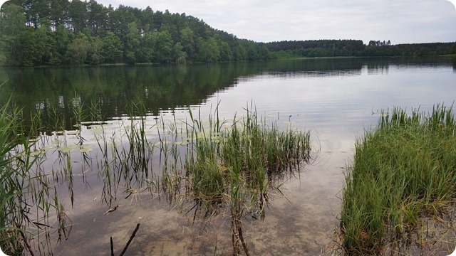 WhatsApp Image 2022-06-16 at 17.57.49