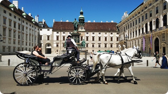 WhatsApp Image 2022-07-06 at 21.56.26