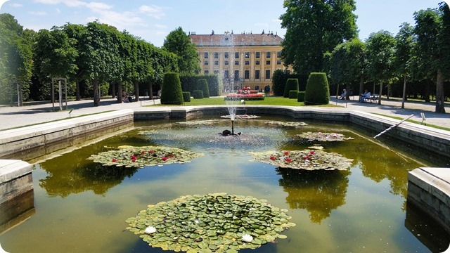 WhatsApp Image 2022-07-06 at 22.22.44