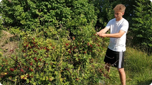 WhatsApp Image 2022-08-17 at 9.29.15 PM