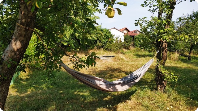 WhatsApp Image 2022-08-18 at 10.43.51 AM