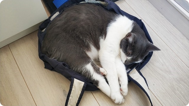 WhatsApp Image 2022-09-01 at 17.08.13