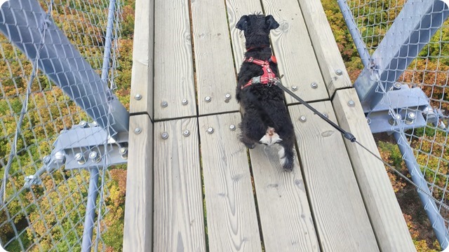 311713795_10158821558837592_3780715481349268347_n