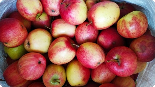 WhatsApp Image 2022-10-05 at 17.10.45