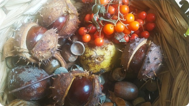 WhatsApp Image 2022-10-05 at 17.20.46