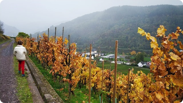 WhatsApp Image 2022-10-19 at 22.30.54