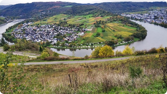 WhatsApp Image 2022-10-19 at 22.46.47