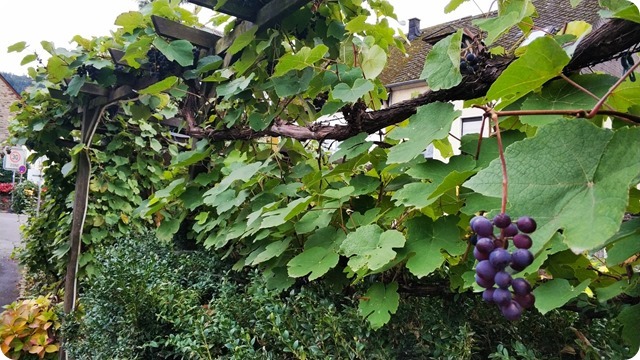 WhatsApp Image 2022-10-25 at 21.55.23