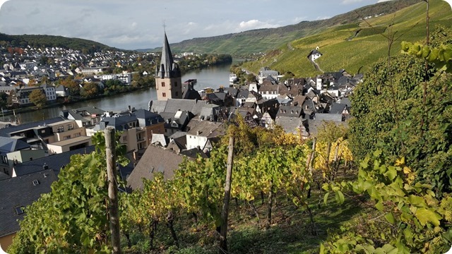 WhatsApp Image 2022-11-09 at 22.10.28