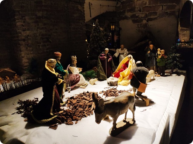 Zdjęcie WhatsApp 2023-01-13 o 17.29.03