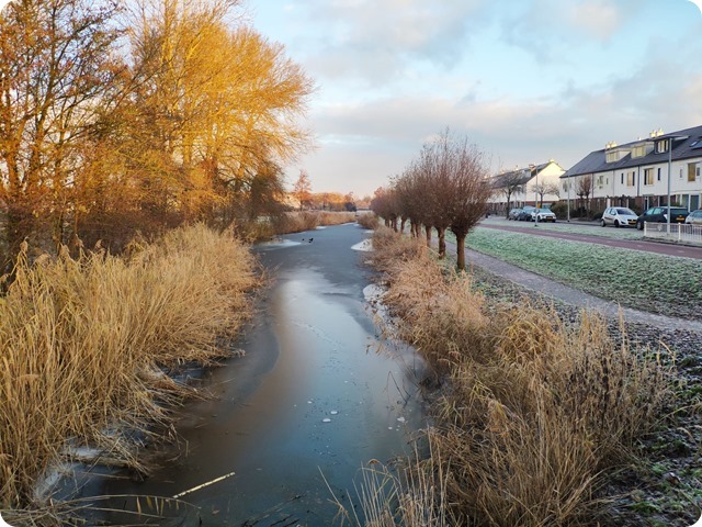 Zdjęcie WhatsApp 2023-01-19 o 18.56.49