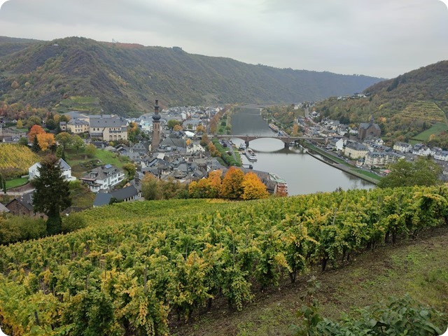 311685043_10158824928862592_5239240722813688959_n