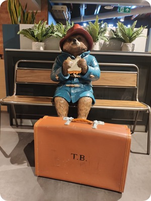 Zdjęcie WhatsApp 2023-03-08 o 21.19.24